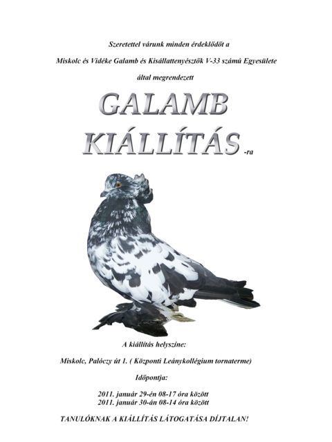 plakt2011_2_480x640