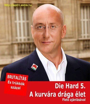 421570_316168258420567_152314888139239_796705_1697037191_n