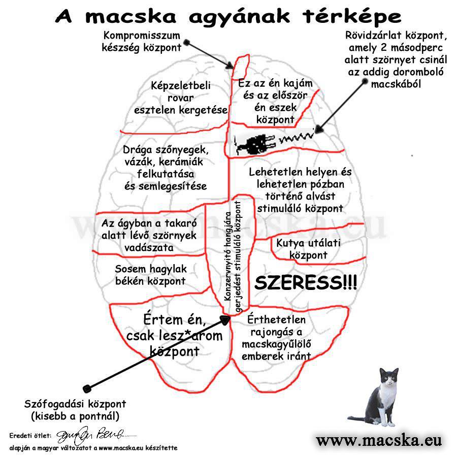 426904_257783657633800_186977034714463_575329_984261073_n