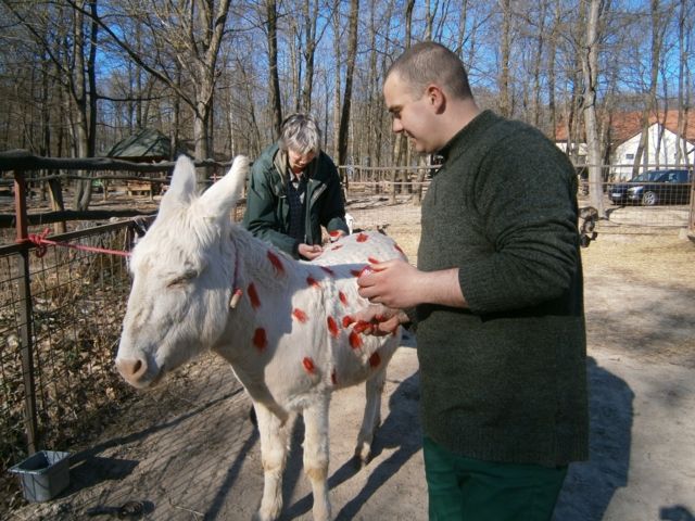P4010076_640x480