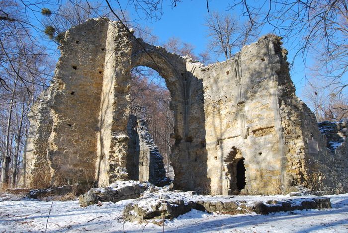 20100125_17464301_acb8d185_2