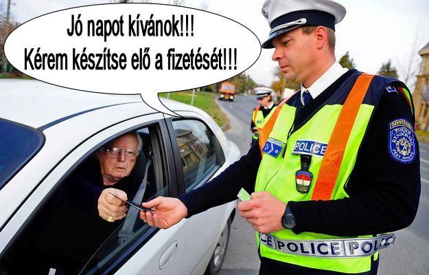 480904_397797696938040_100001234381377_1223883_754457434_n