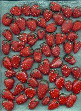 9lotsa_berries_
