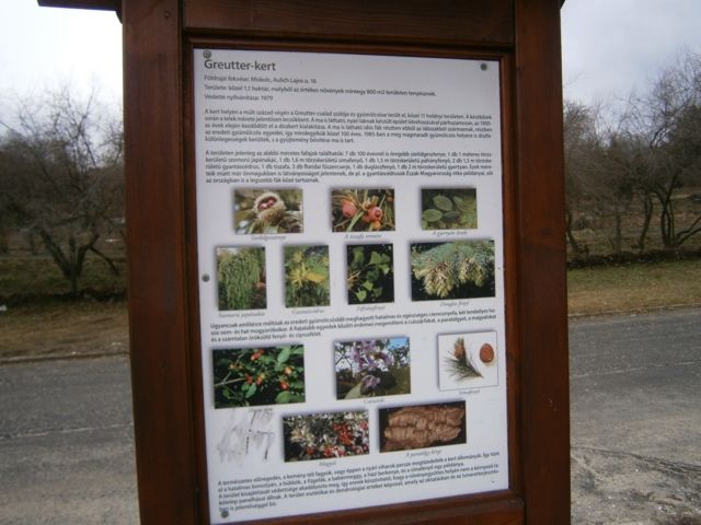 P2050004_640x480