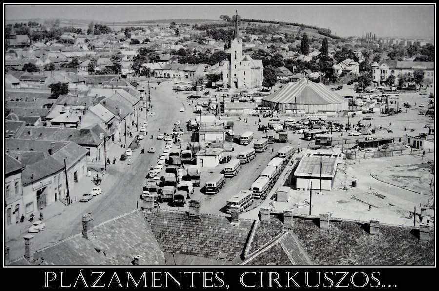 485882_366894013353633_1585852921_n_1