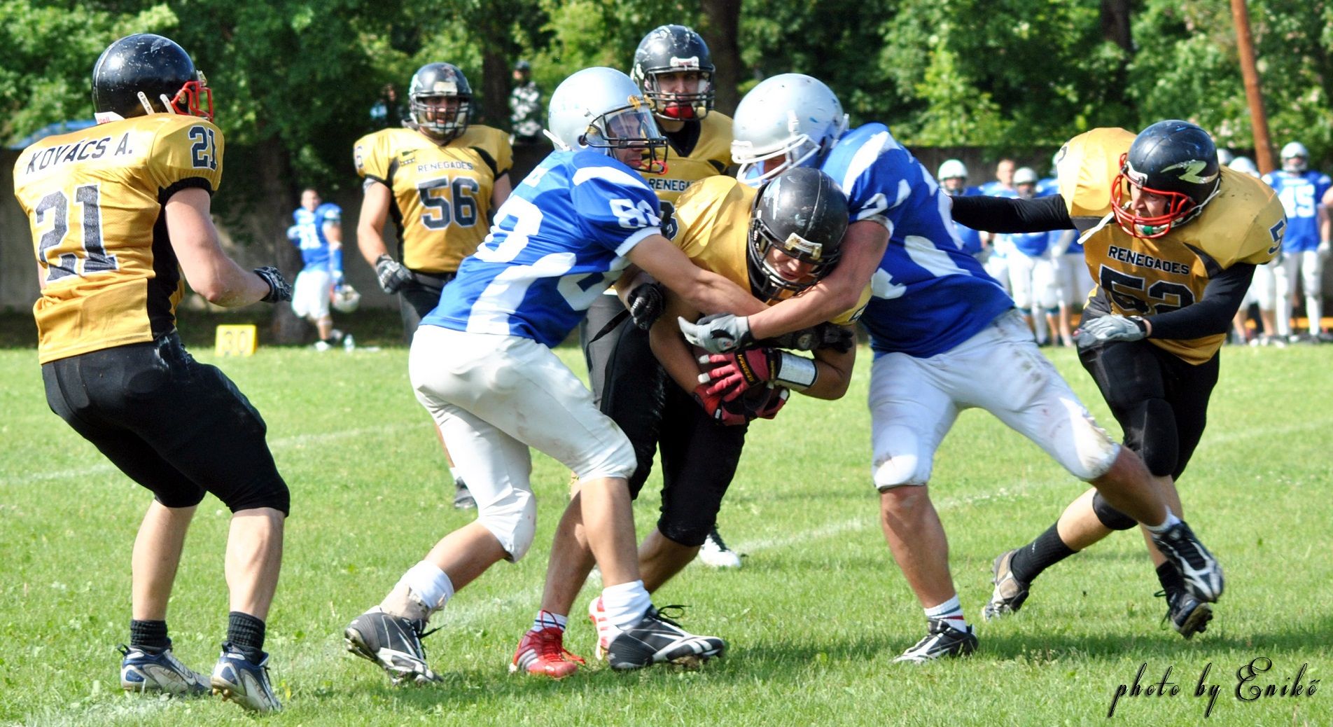 renegades-sharks-2-bodnar-eniko-kepe