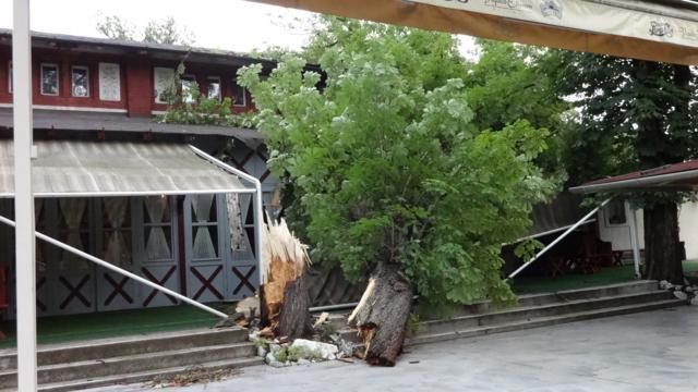DSC03188_640x360