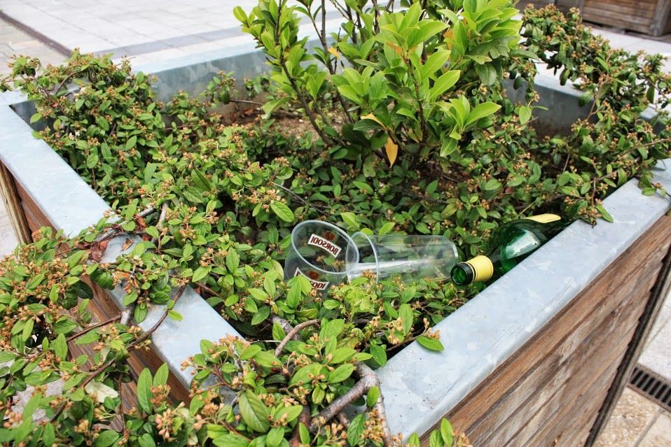 EUtr_004