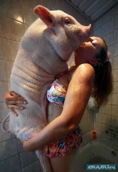 559634_296152120460002_100001956507248_677215_1678358185_n