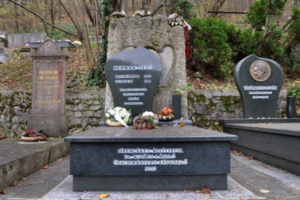 herman-otto-sirja07-st-600x400