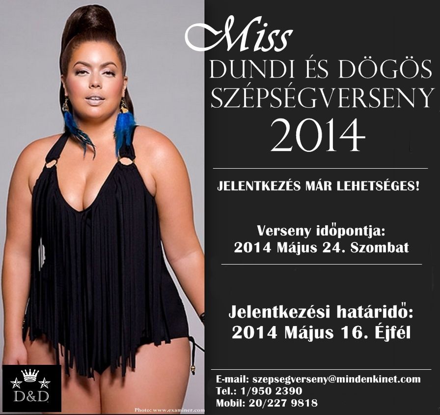 DD2014_plakat