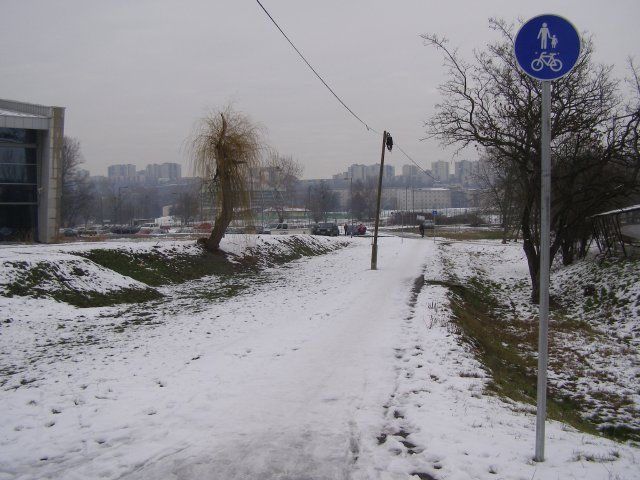 P2020100