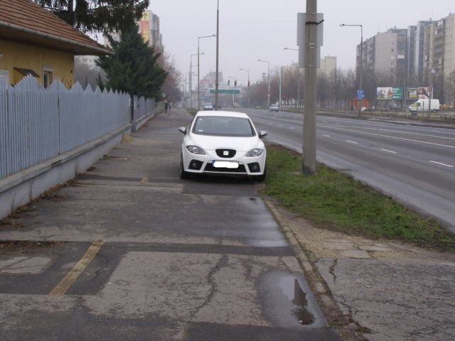 CP3010348