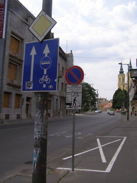 10403700 417251025080641 160610600286795479 n