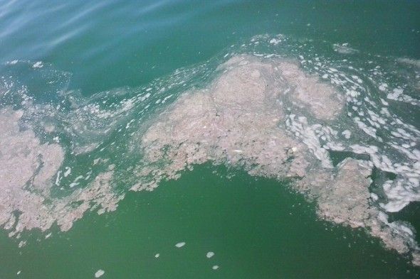 urulek balaton