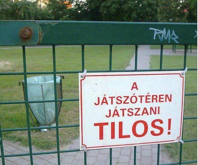 ajvhn9iioznvtoh5pr80 copy
