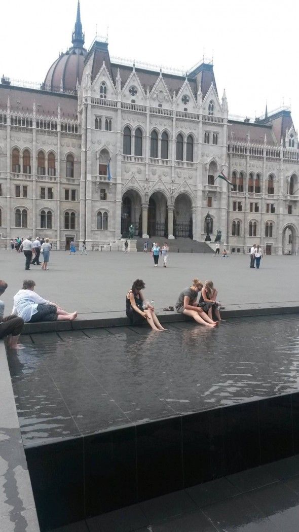 parlament borotva normal