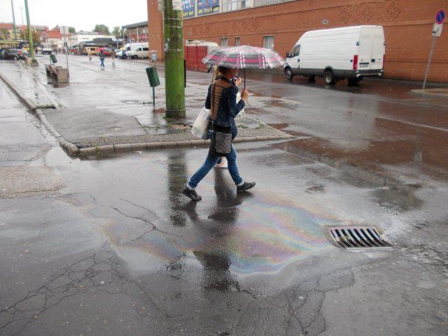 DSCN0056