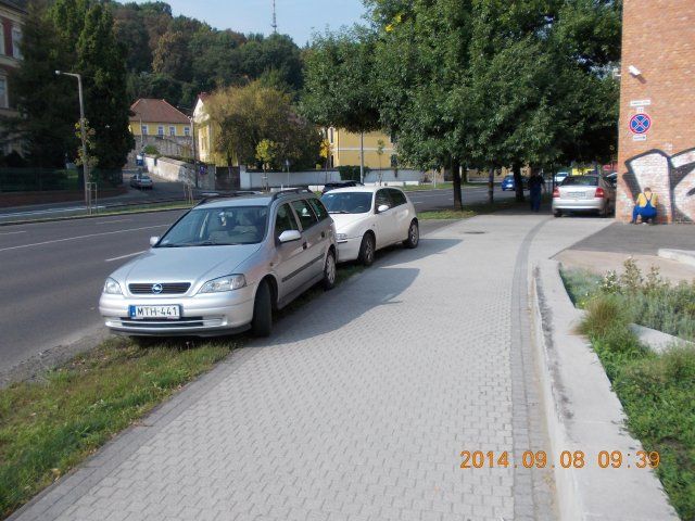 DSCN3029