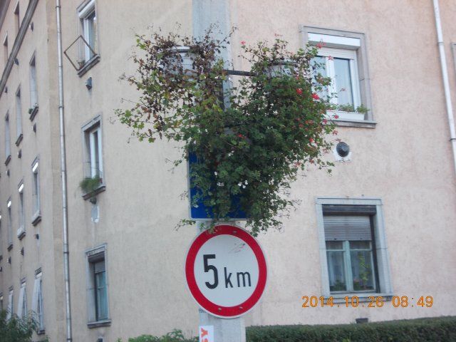 DSCN5459