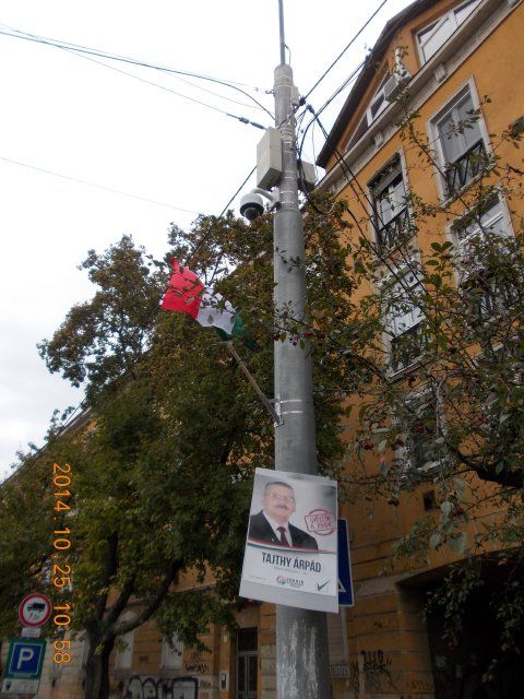 DSCN5368