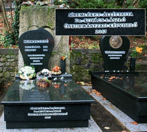 Herman Otto uj sirja