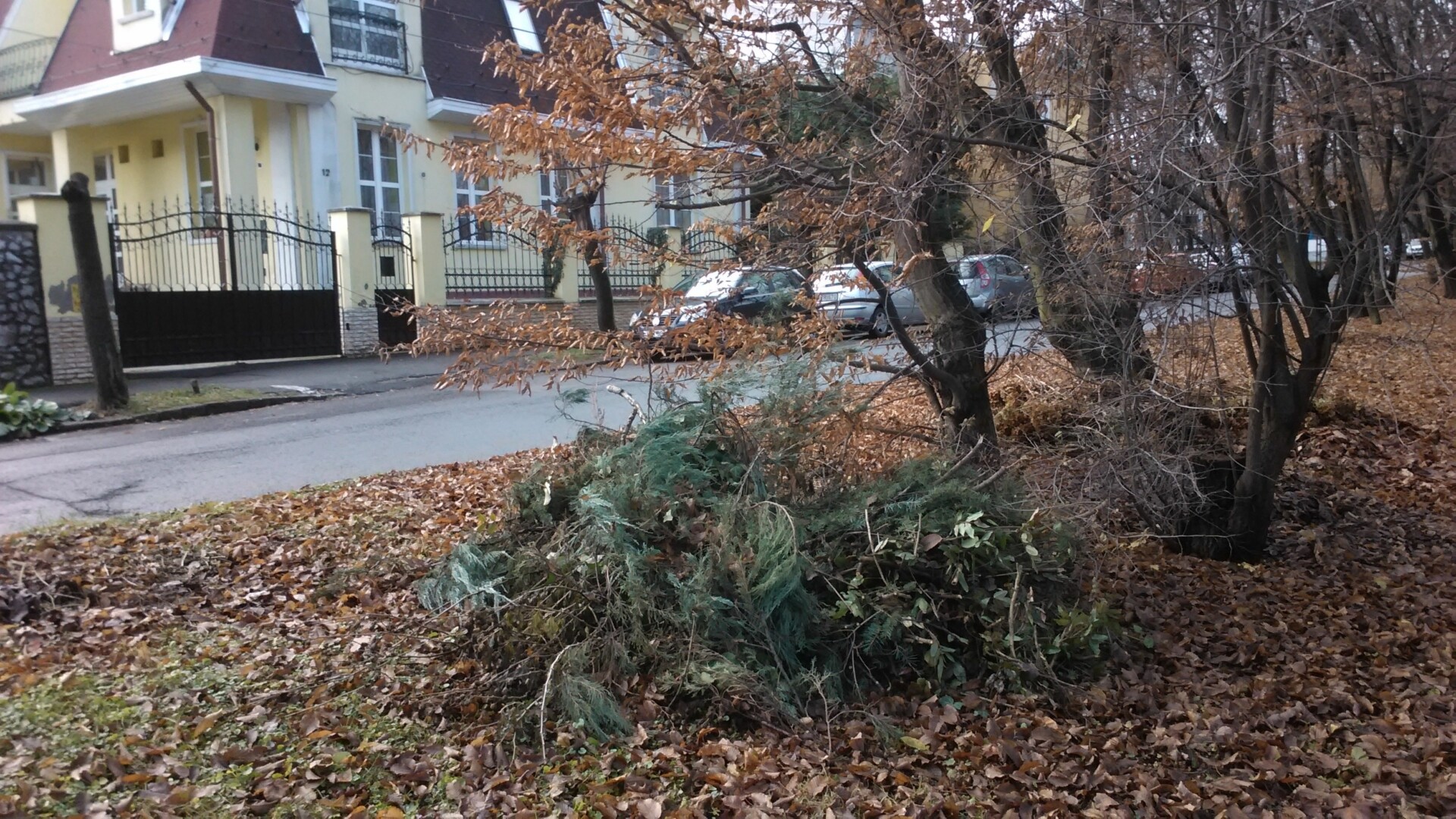 IMG 20141203 103442