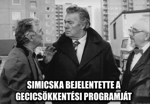 20150206simicska-lajos-mem