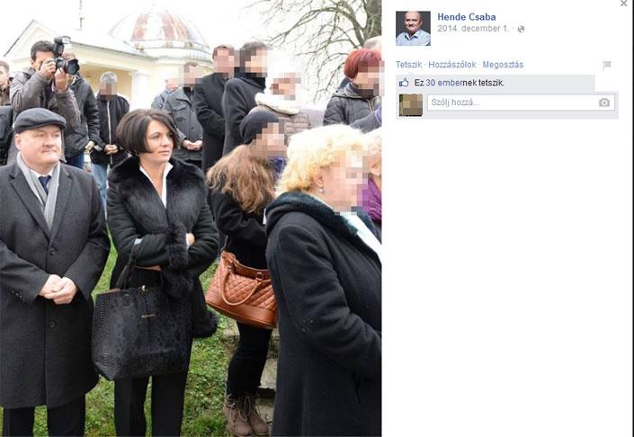Fenyő utca copy