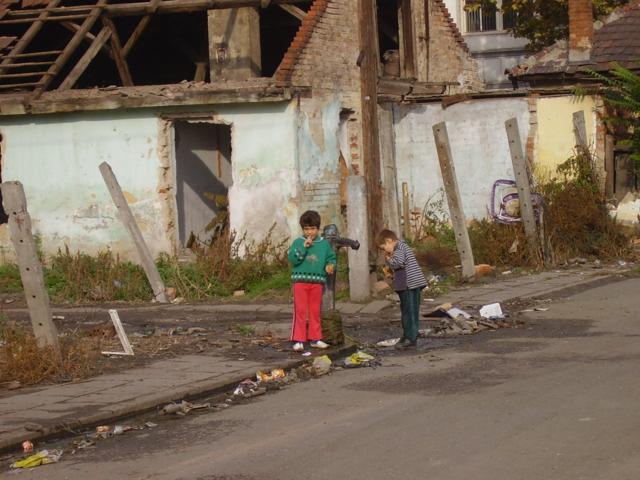 PA250120 640x480