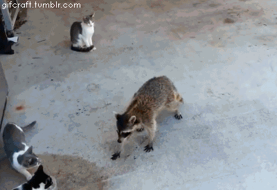 get