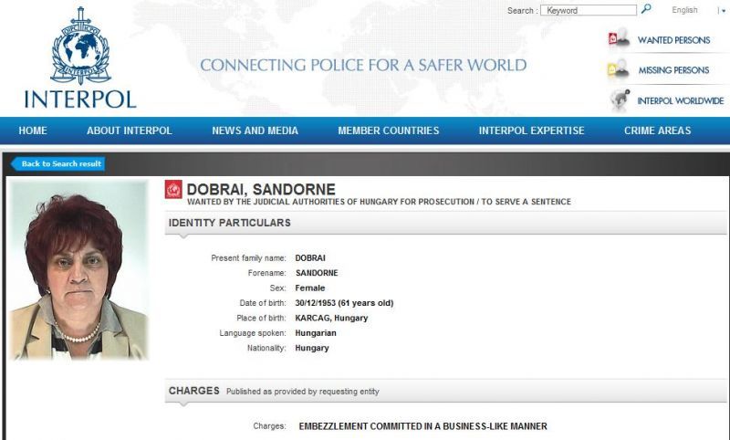 kun mediator interpol 2