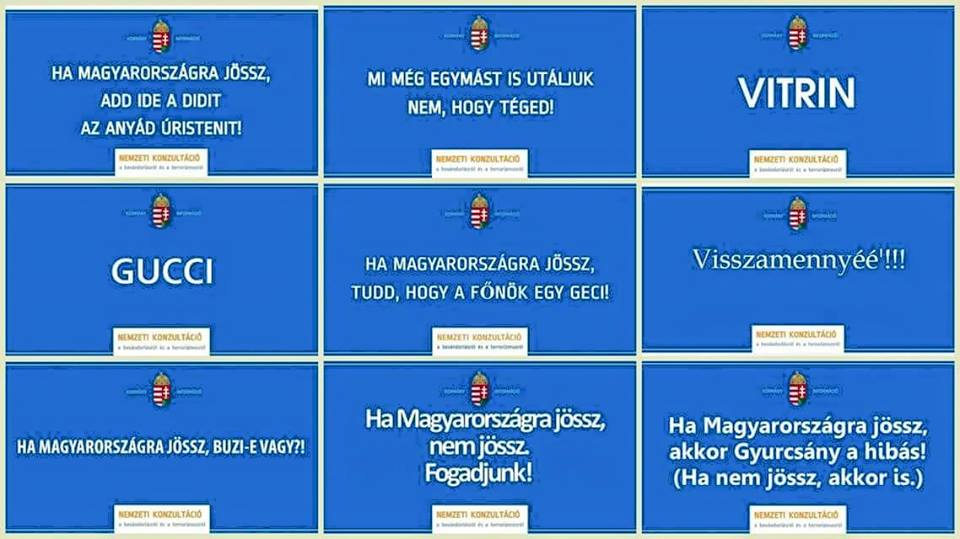 11401096 10153389937458659 1364713648020171889 n