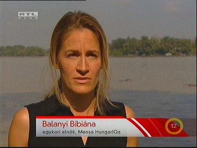 rtl 38920 08365900