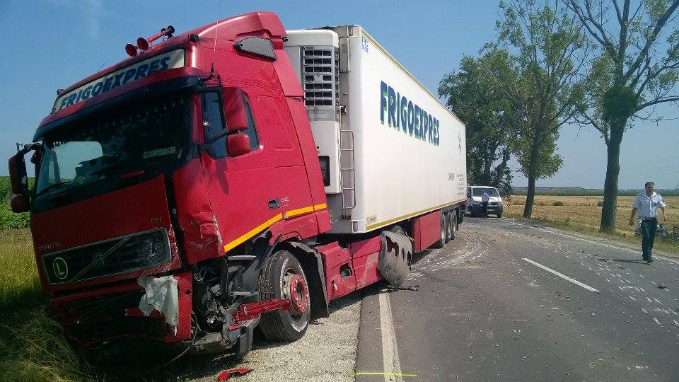 11751173 930846990308923 1291894169 n copy