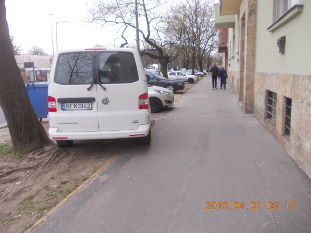 DSCN5567