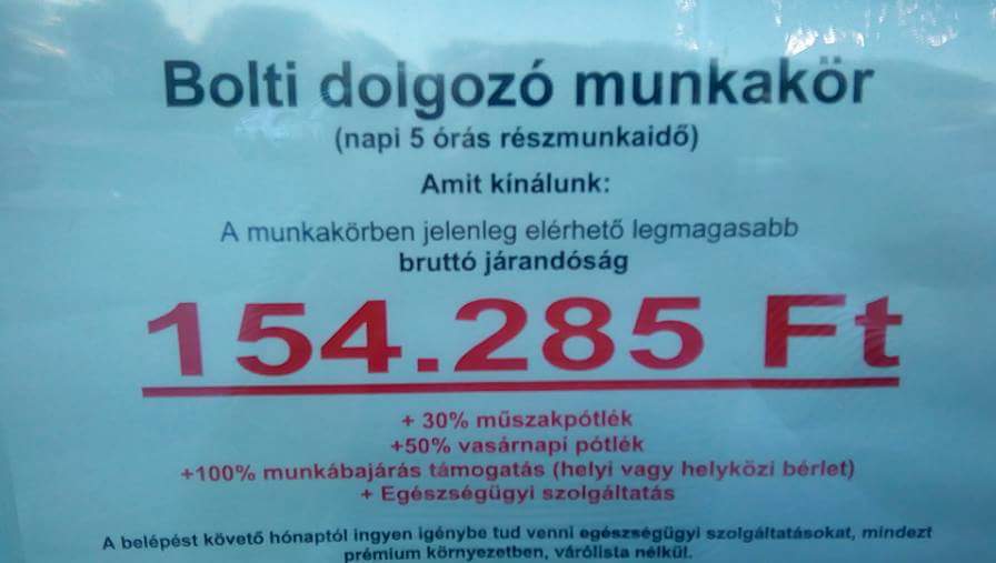 13775998 1116857485019814 6990883417779024983 n
