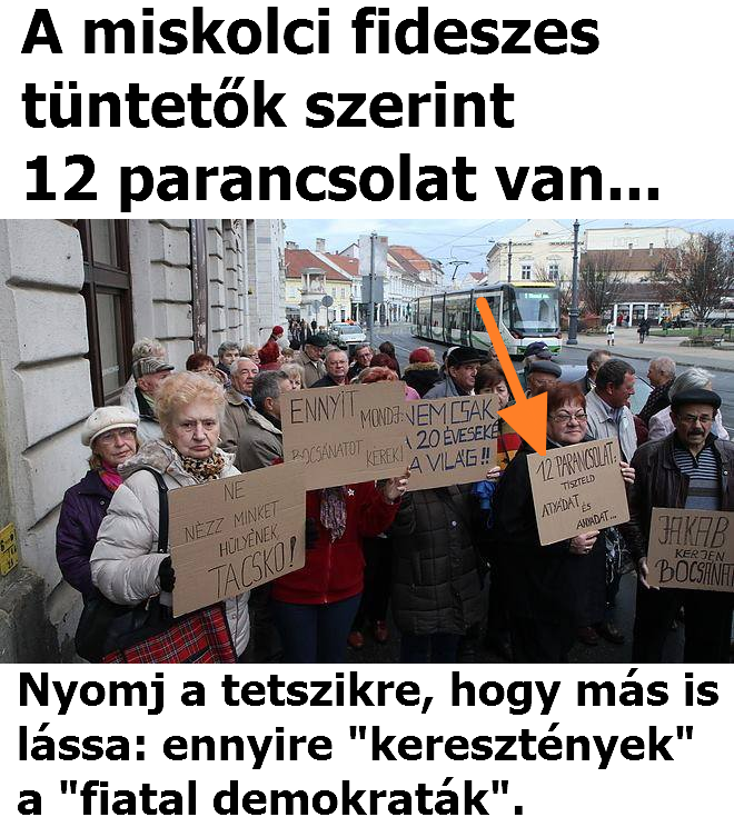 12239464 1120492844659556 5938158059947060626 n copy