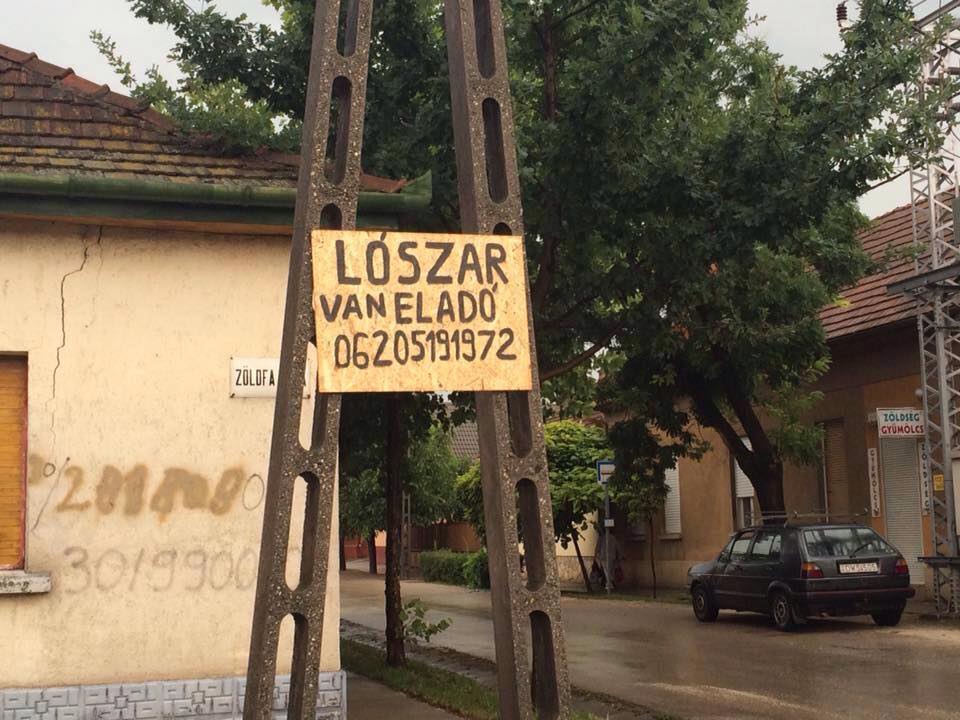 20429880 1468794639881142 561018494648040356 n