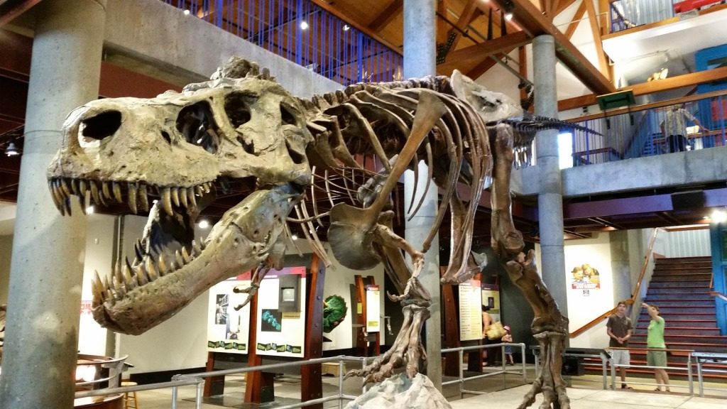 montshire2 1024x576 1024x576