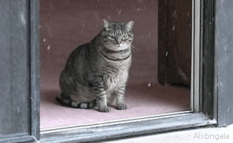75oi7K46BNH2774Ma
