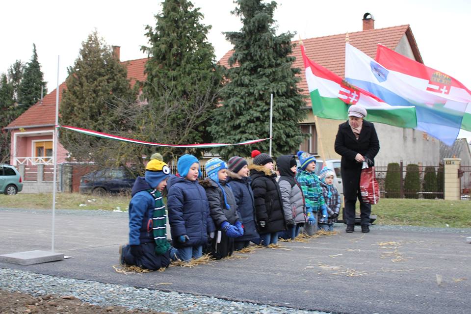 ovisok csepreg3