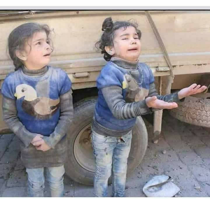 28378542 1654664197960688 4436973320126070784 n