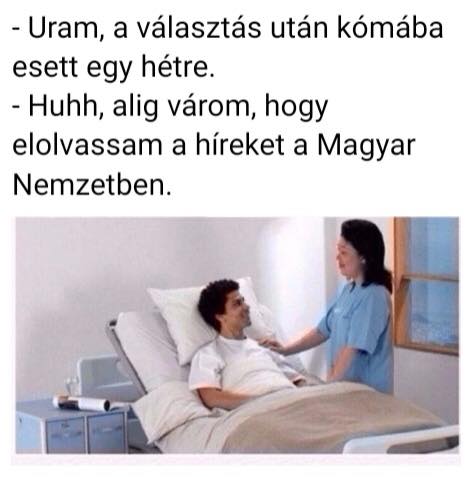 30530515 1669945676419595 7845011409732632576 n 1