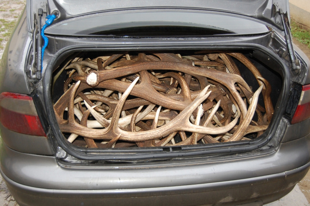 20361929 82844bf8a343f66e518e484408a8b5e1 wm