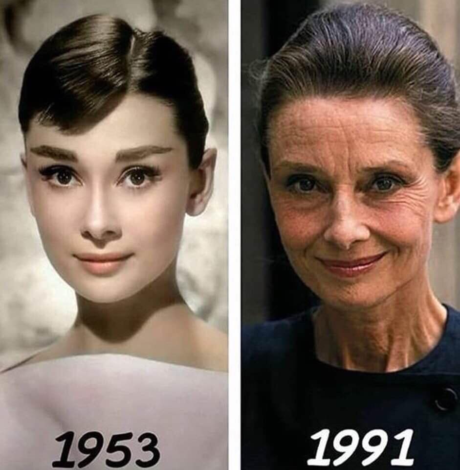 33224557 10156114299381066 2431863345452679168 n