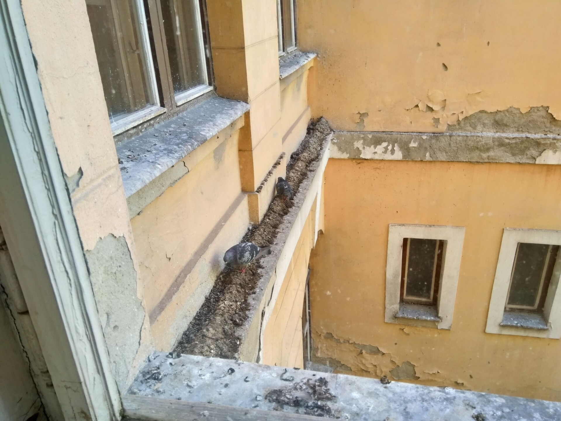 IMG 20180710 101113