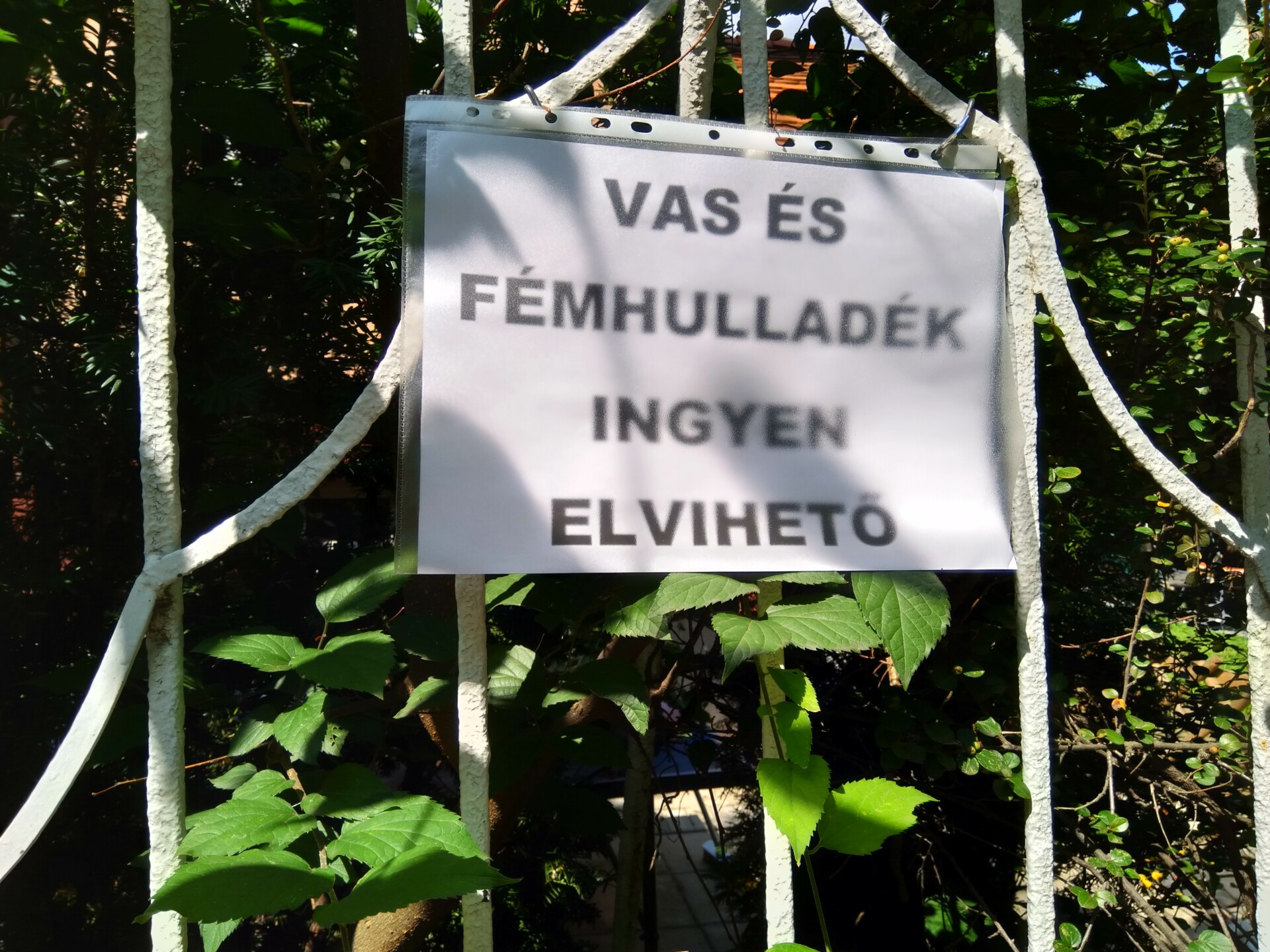 IMG 20180725 105906