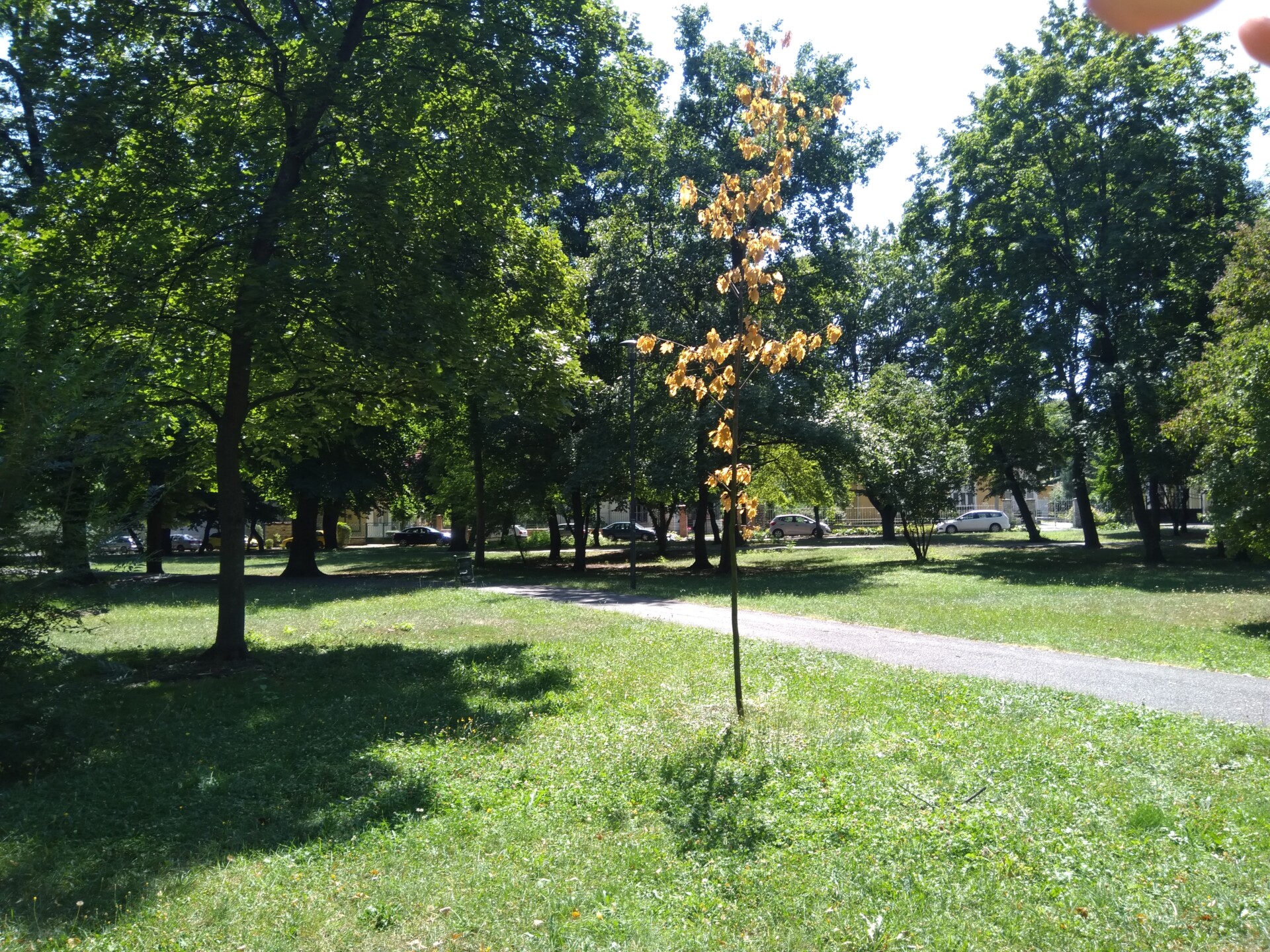 IMG 20180807 125258