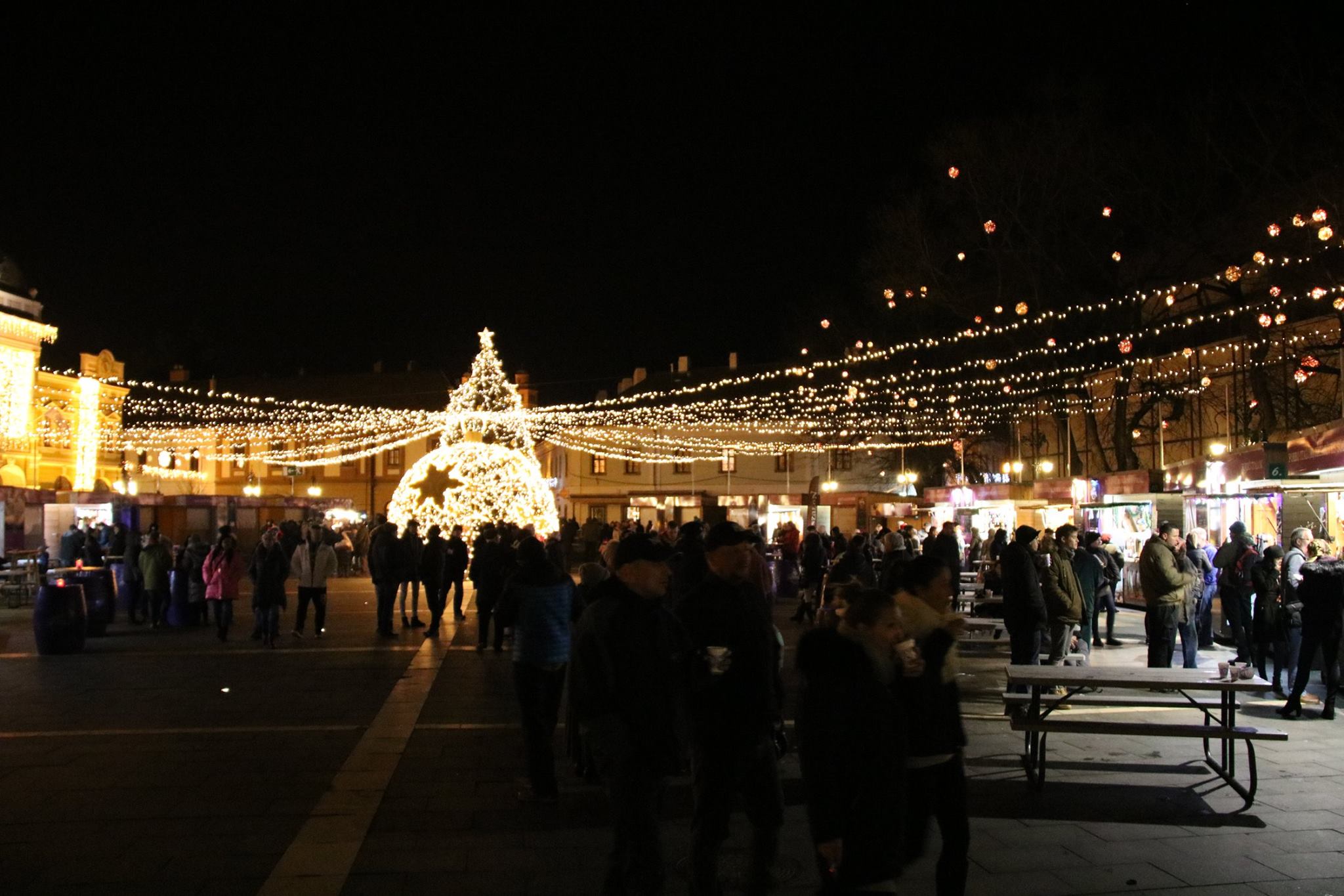 49609874 2353482704664546 310602727652589568 o